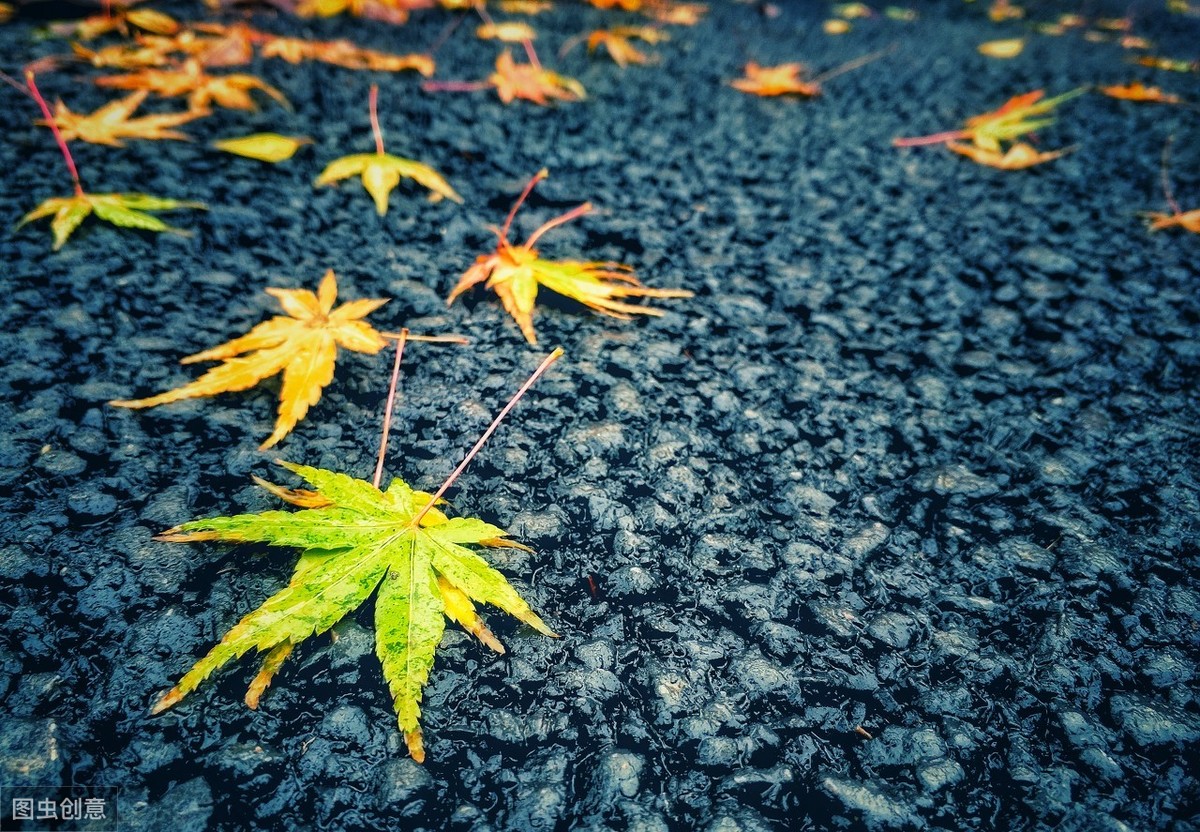 情雨代刷（情雨哥绝技是真的吗）