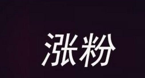 快手涨粉平台（快手粉丝一元1000个不掉粉）