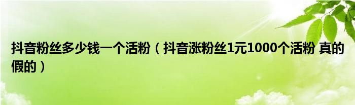 快手涨粉丝1元1000活粉链接（快手涨粉丝1元1000个粉丝平台）