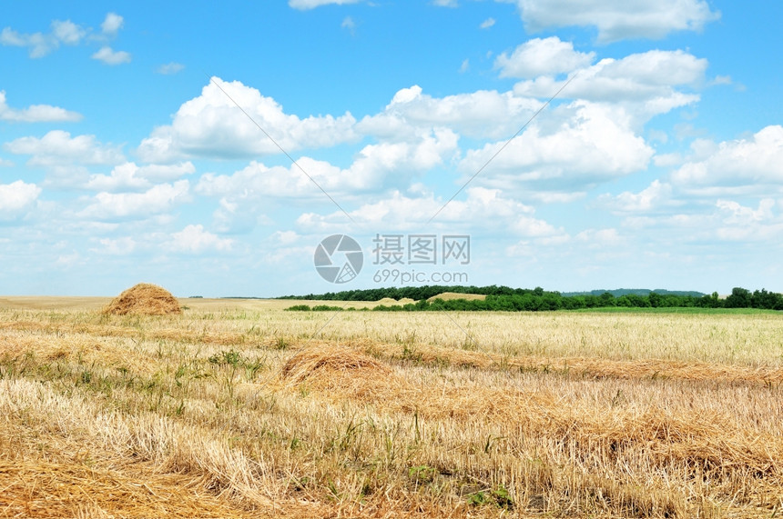 麦子代刷网站（麦子刷网站免费）