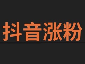 抖音刷平台（打开抖音app）