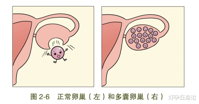 万宝代刷网（万宝代刷网可信吗?）