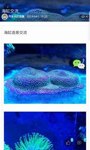 免费刷赞1000平台网站的简单介绍