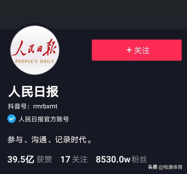 抖音1元100个粉丝（抖音粉丝一元100个不掉粉）