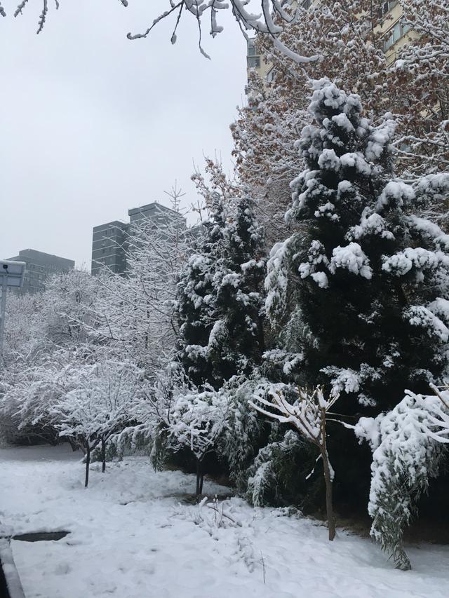 包含2020年的第一场雪QQ空间说说必发的词条