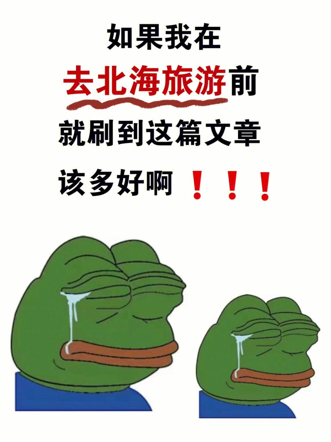 皮皮虾刷粉丝（皮皮虾涨粉丝有什么用）