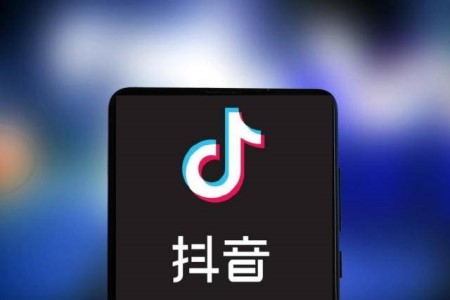 抖音假人代理（抖音假人怎么赚钱）