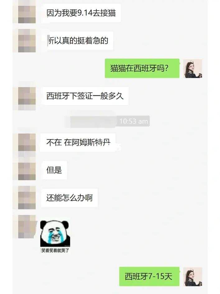 小姐姐代刷网（低价稳定代刷网）