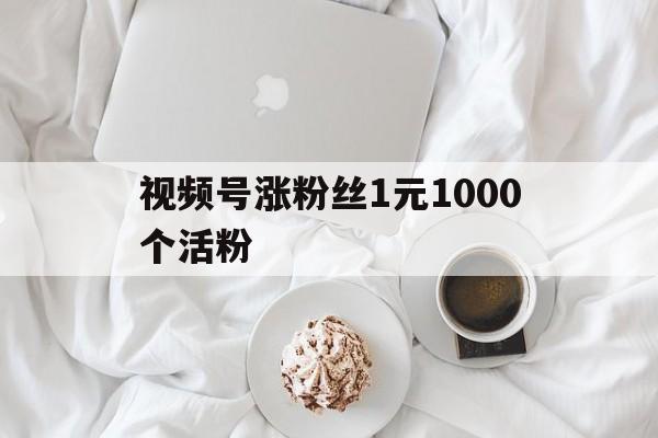 包含视频号涨粉丝1元1000个活粉的词条