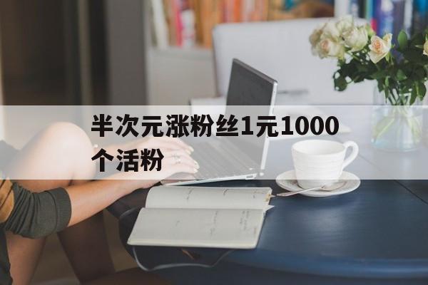 半次元涨粉丝1元1000个活粉（半次元涨粉丝1元1000个活粉多少钱）