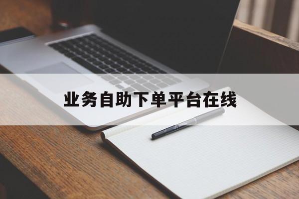 业务自助下单平台在线（业务自助下单平台在线查询）