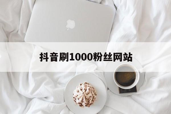 抖音刷1000粉丝网站（抖音刷10000粉多少钱）