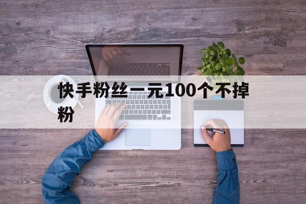 快手粉丝一元100个不掉粉（快手粉丝一元100个不掉粉秒到）