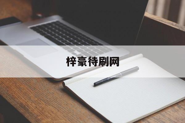 梓豪待刷网（梓豪代刷网全网最低价）