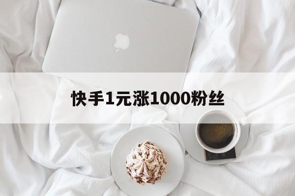 快手1元涨1000粉丝（涨粉丝1元1000个粉丝快手）