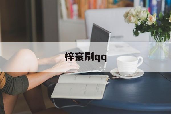 梓豪刷qq（梓豪刷空间网站）