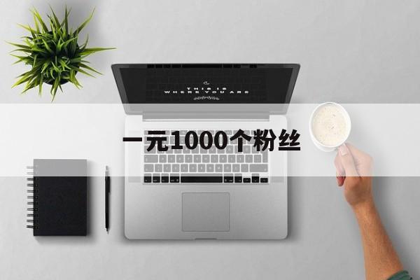 一元1000个粉丝（一元1000个粉丝ks）