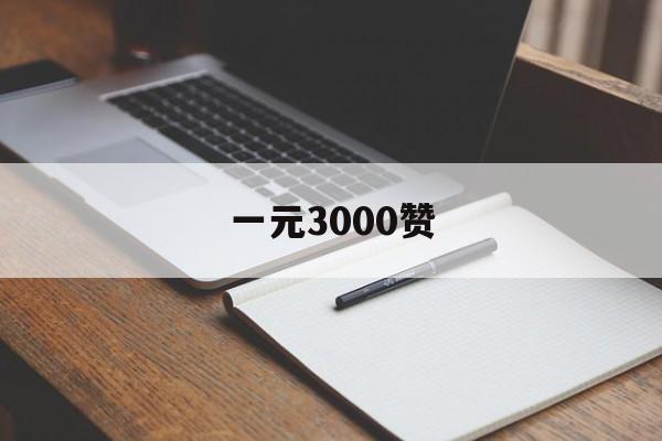 一元3000赞（一块钱1000个赞）