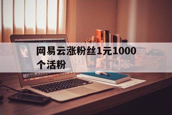 网易云涨粉丝1元1000个活粉的简单介绍