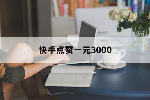 快手点赞一元3000（快手点赞一元1000赞）