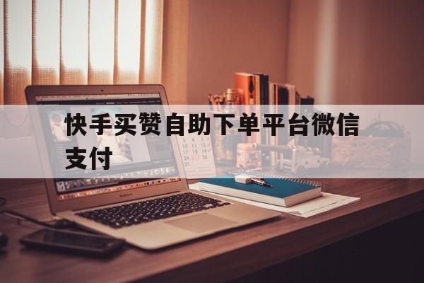 快手买赞自助下单平台微信支付的简单介绍