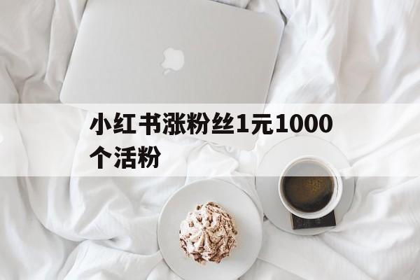 小红书涨粉丝1元1000个活粉（小红书涨粉丝1元1000个活粉多少钱）