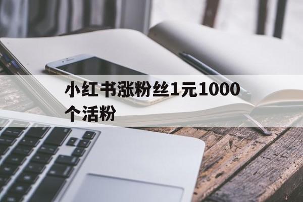 小红书涨粉丝1元1000个活粉（小红书涨粉丝1元1000个活粉平台）