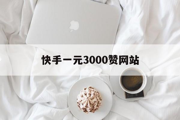 快手一元3000赞网站（快手1元3000个赞网站）