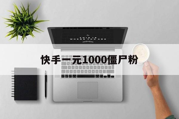 快手一元1000僵尸粉（快手一元1000粉自助下单平台）