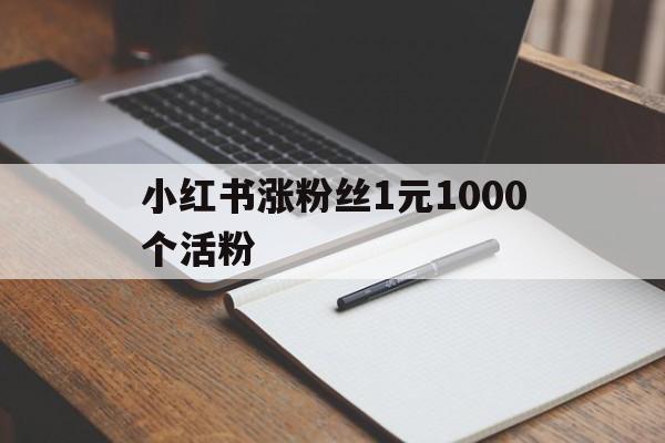 小红书涨粉丝1元1000个活粉（小红书涨粉丝1元1000个活粉多少）