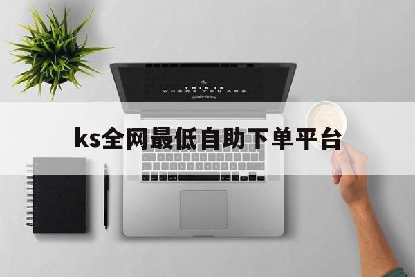 ks全网最低自助下单平台的简单介绍