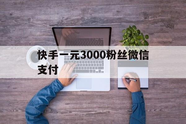 关于快手一元3000粉丝微信支付的信息