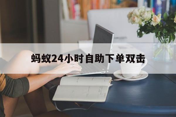 蚂蚁24小时自助下单双击的简单介绍