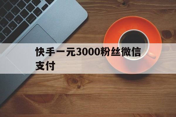 包含快手一元3000粉丝微信支付的词条