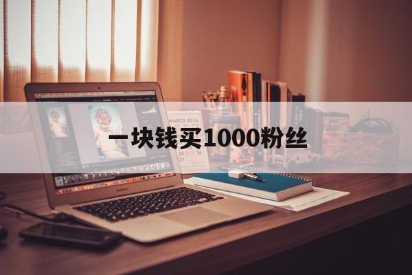 关于一块钱买1000粉丝的信息